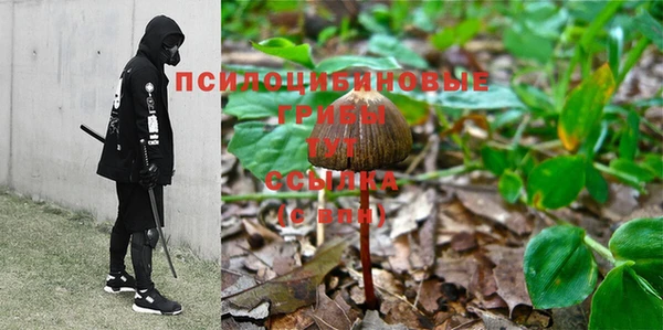 стафф Красноперекопск