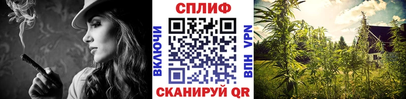 Купить закладки  Усть-Лабинск  Марихуана гибрид 